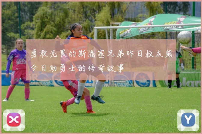 勇敢无畏的斯潘塞兄弟昨日救灰熊今日助勇士的传奇故事