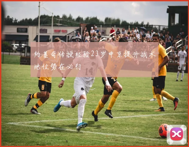 约基奇传授经验23岁申京提升战术地位势在必行