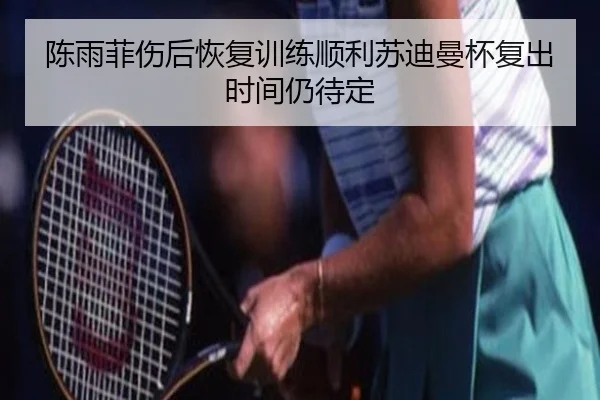 陈雨菲伤后恢复训练顺利苏迪曼杯复出时间仍待定